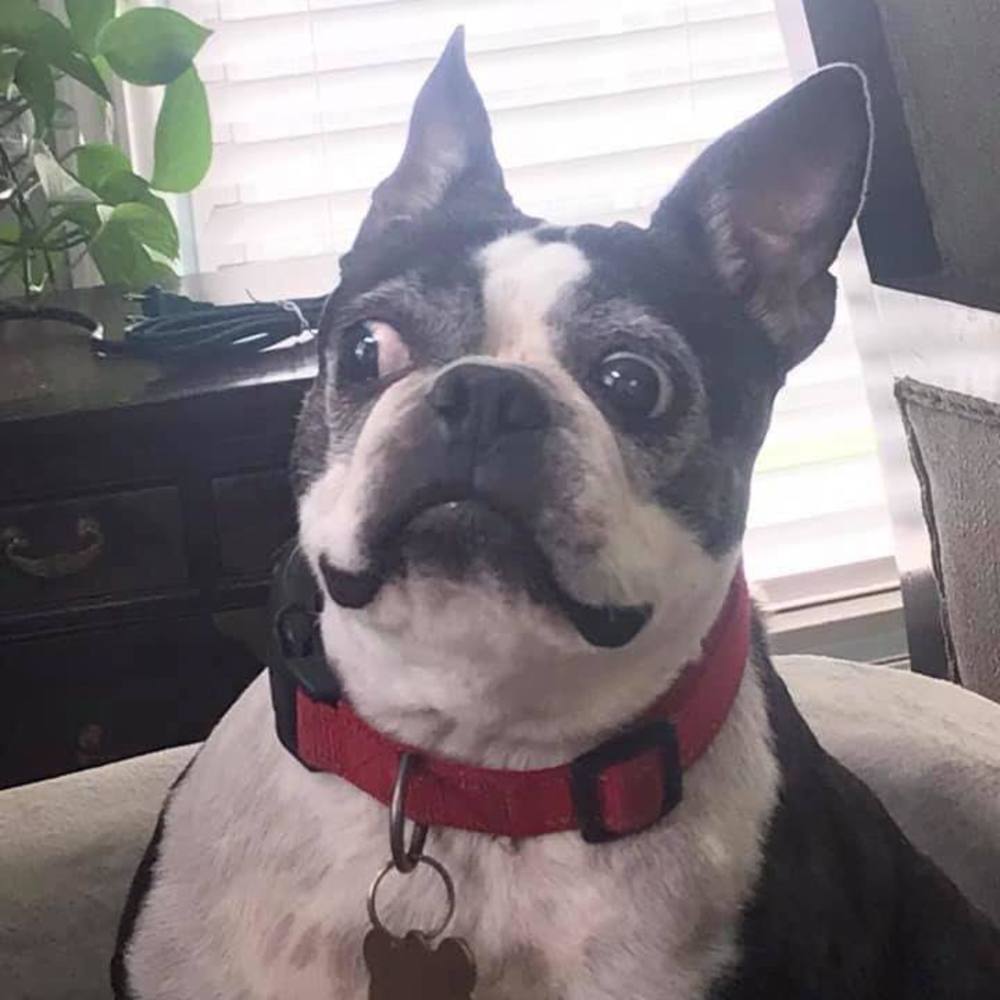 Meet your Posher, Deborah